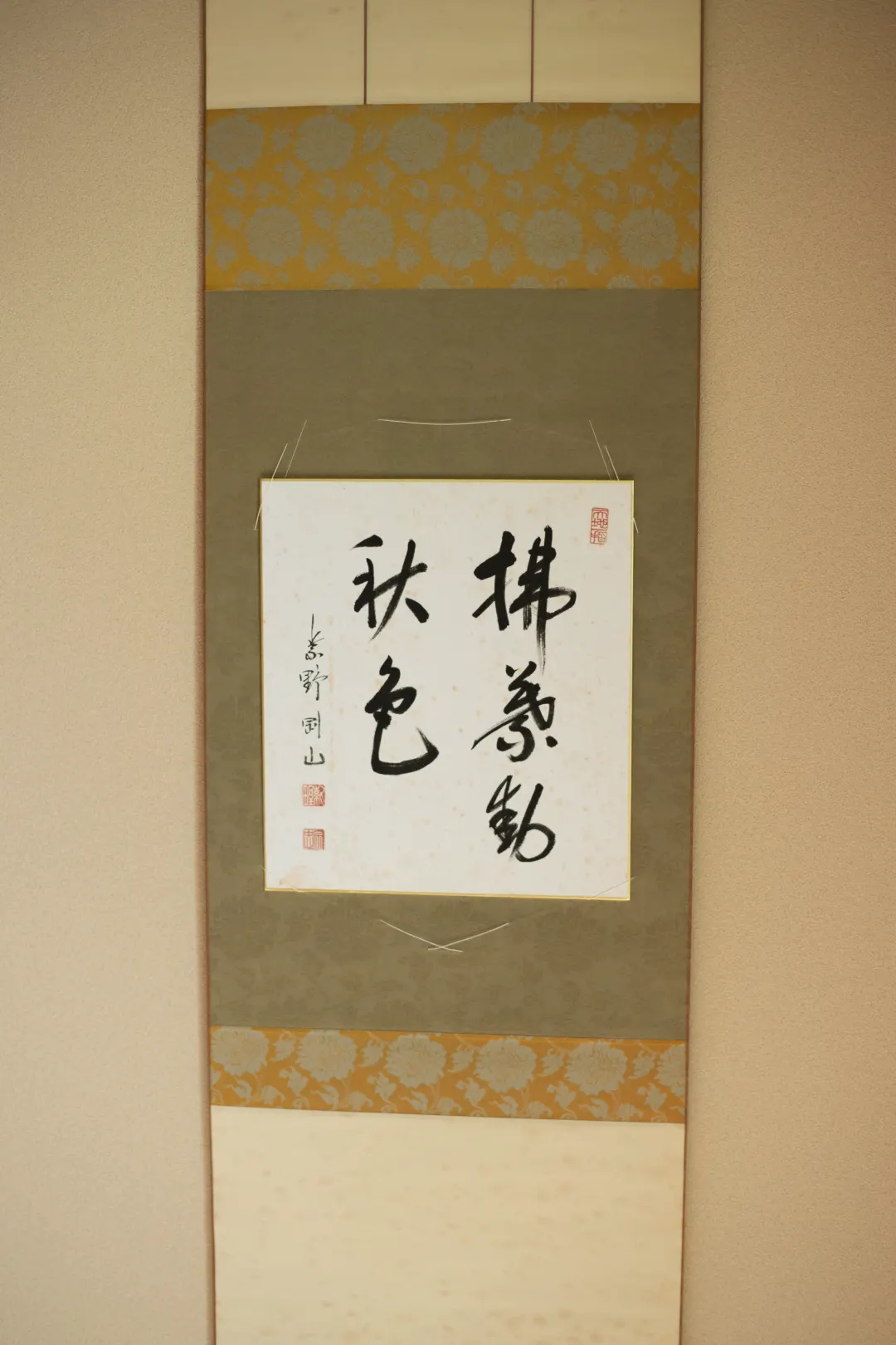 拂葉動秋色